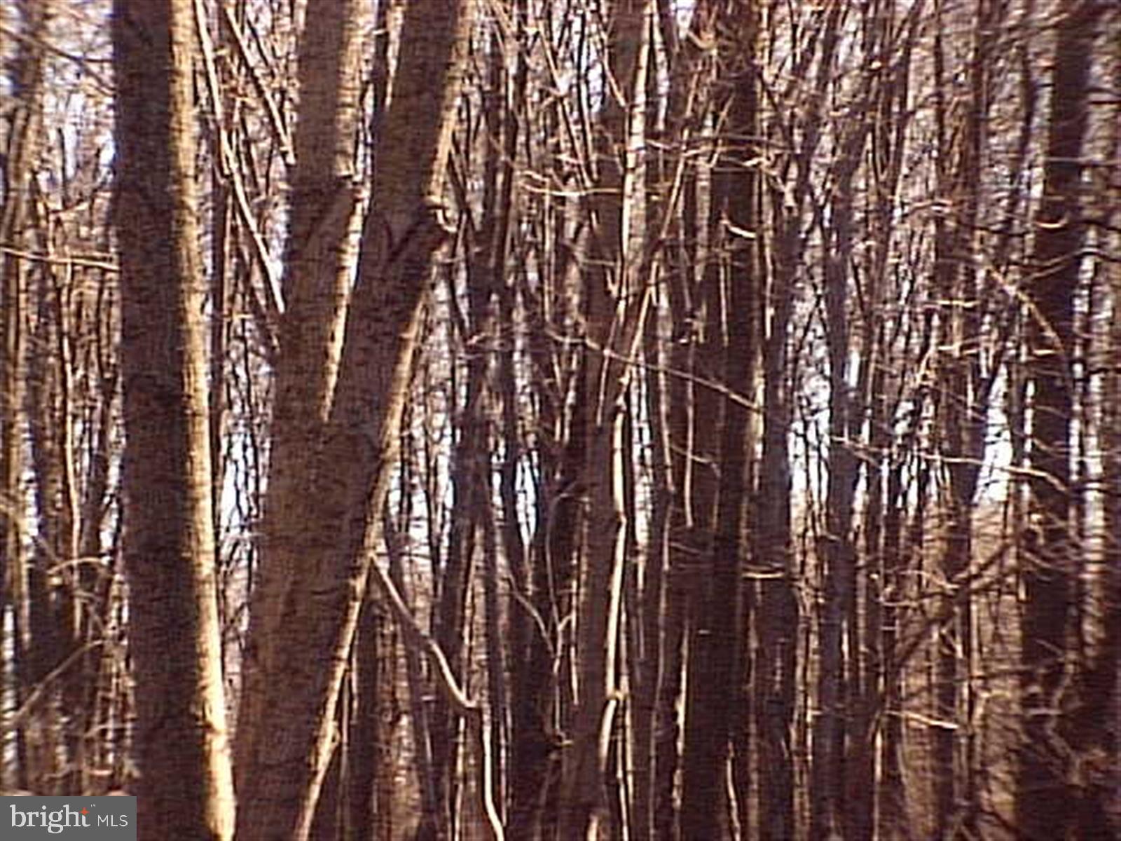 0 FAIRMOUNT STREET