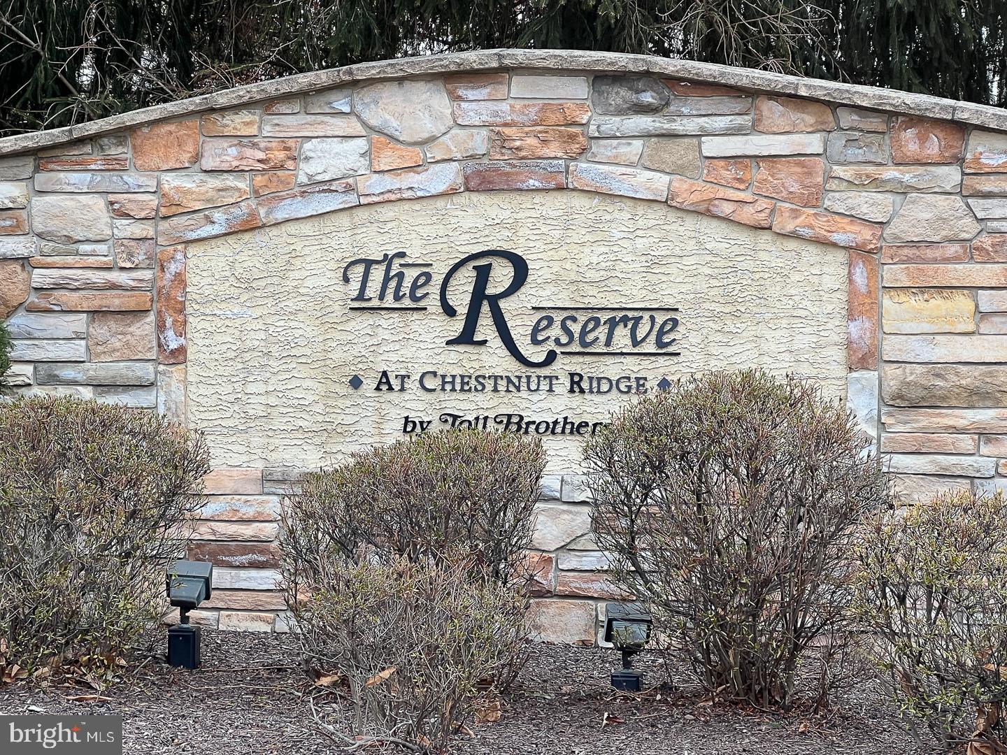 THE RESERVE AT CH - Residential