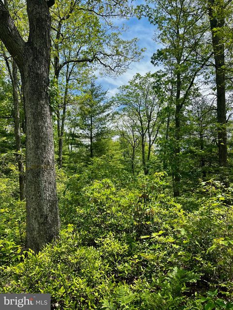 Vacant Land For Sale - 16 Beech Creek Mountain Road<br/> BEECH CREEK, PA 16822