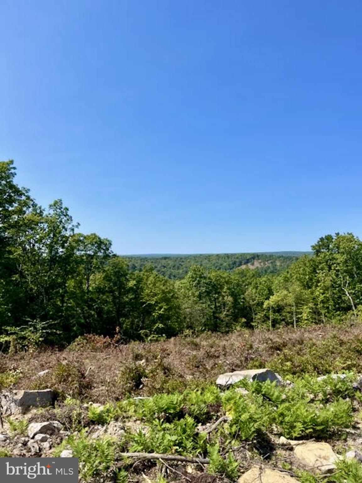 16 BEECH CREEK MOUNTAIN ROAD