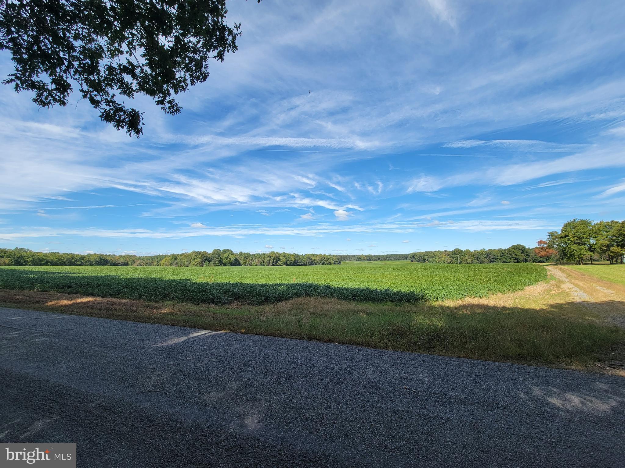 NONE AVAILABLE - Land