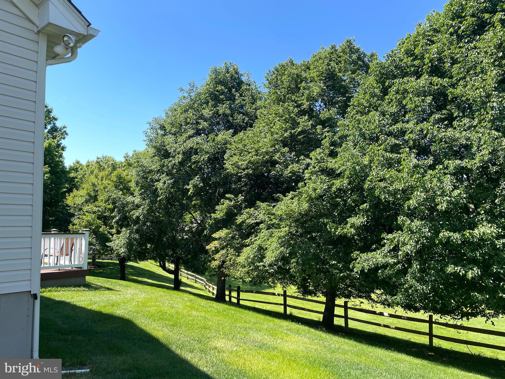 8 TUPELO LANE