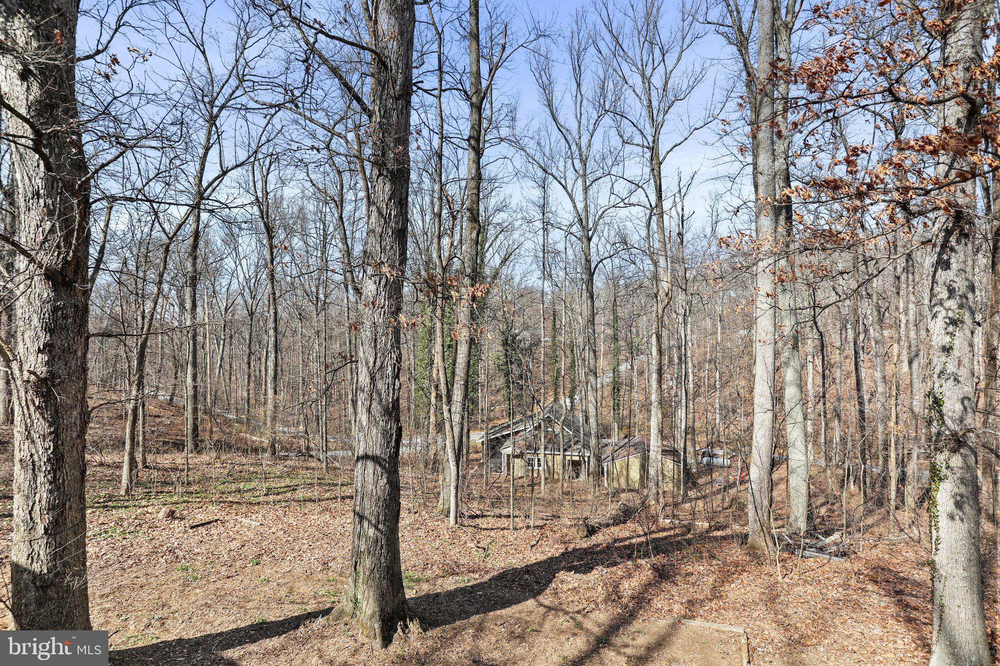 SHANNONDALE - Residential