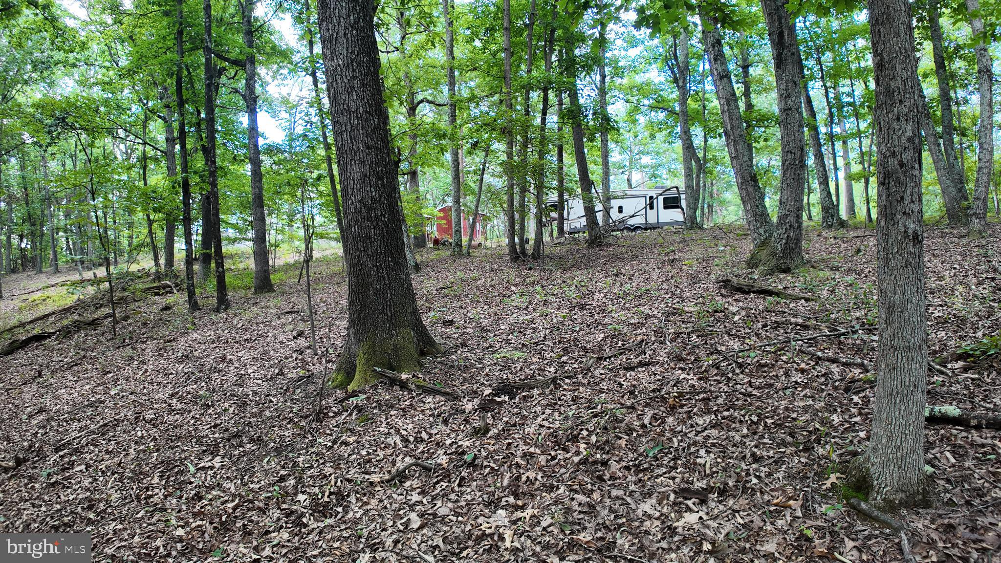 1552 OLD SMITH FARM ROAD