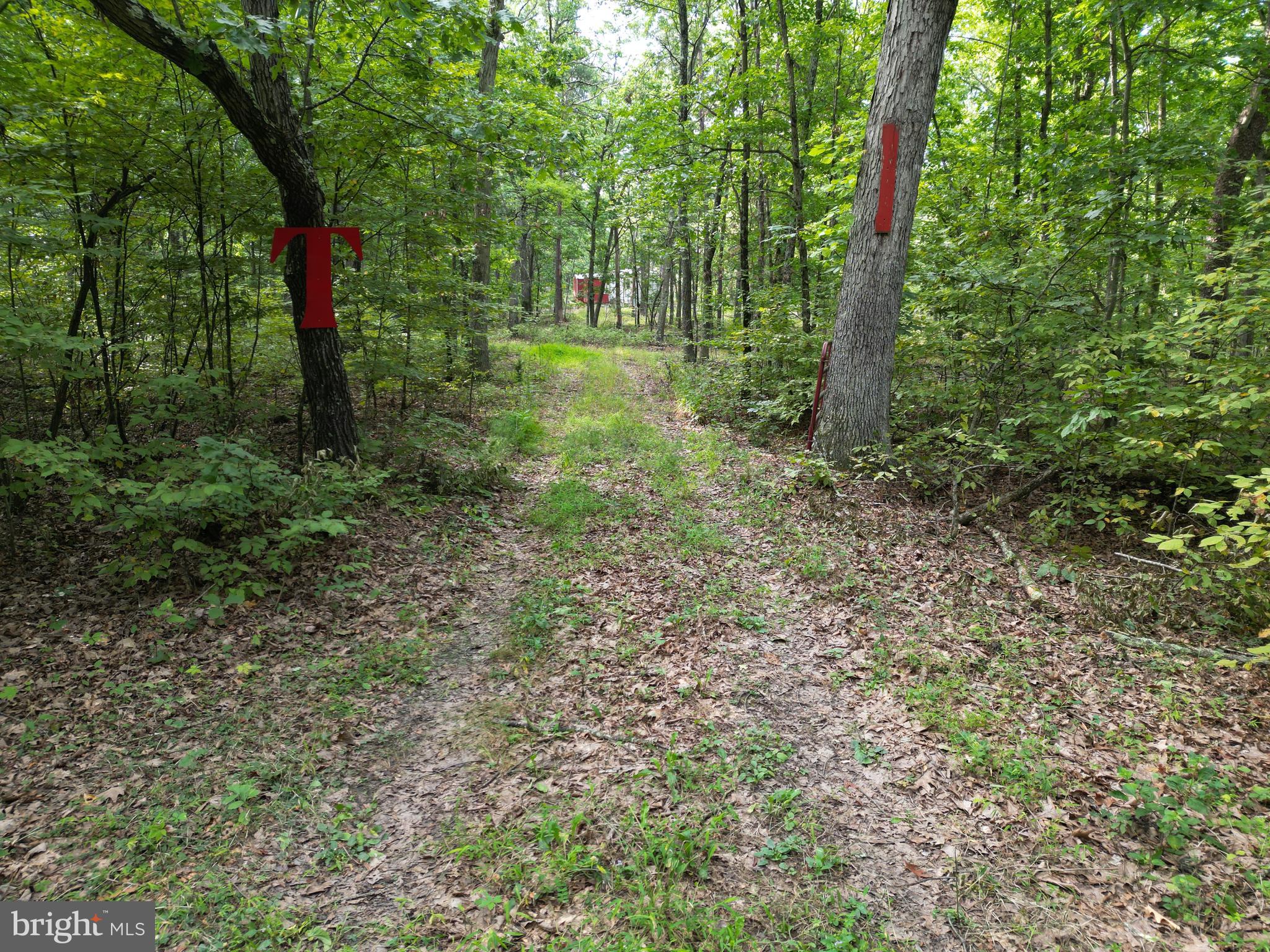 1552 OLD SMITH FARM ROAD
