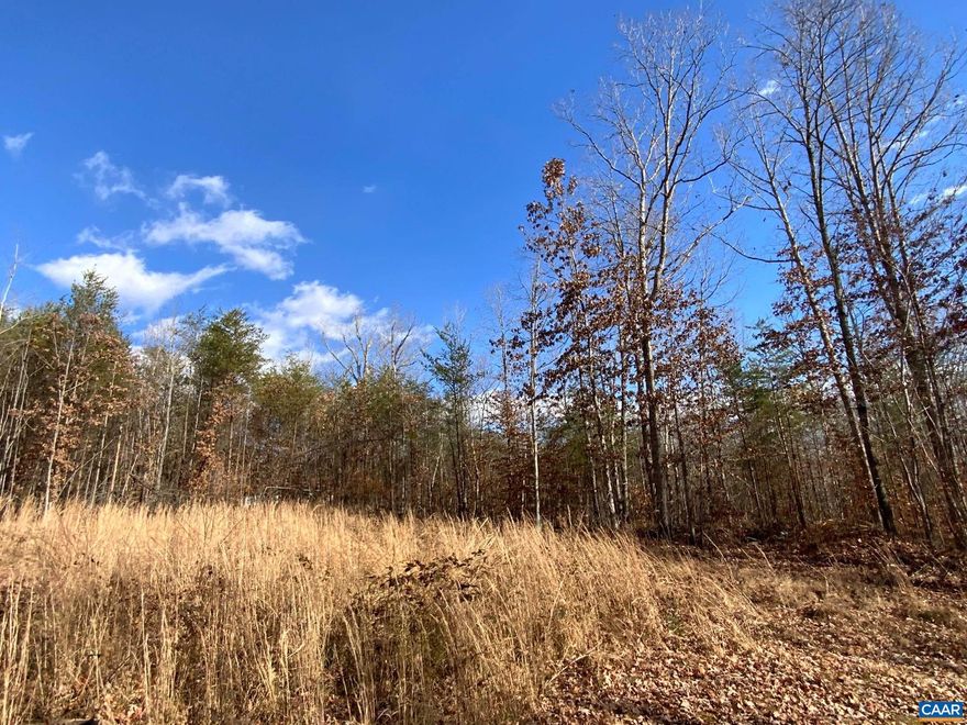 Nestled in beautiful Nelson County, this land is perfect for a primary residence or weekend getaway. An ideal homesite has already been cleared, while an ample buffer of woods provides privacy. Fronts a public road. Two lots, totaling 8.44 acres. Just 45 minutes to Charlottesville and the same to Lynchburg.