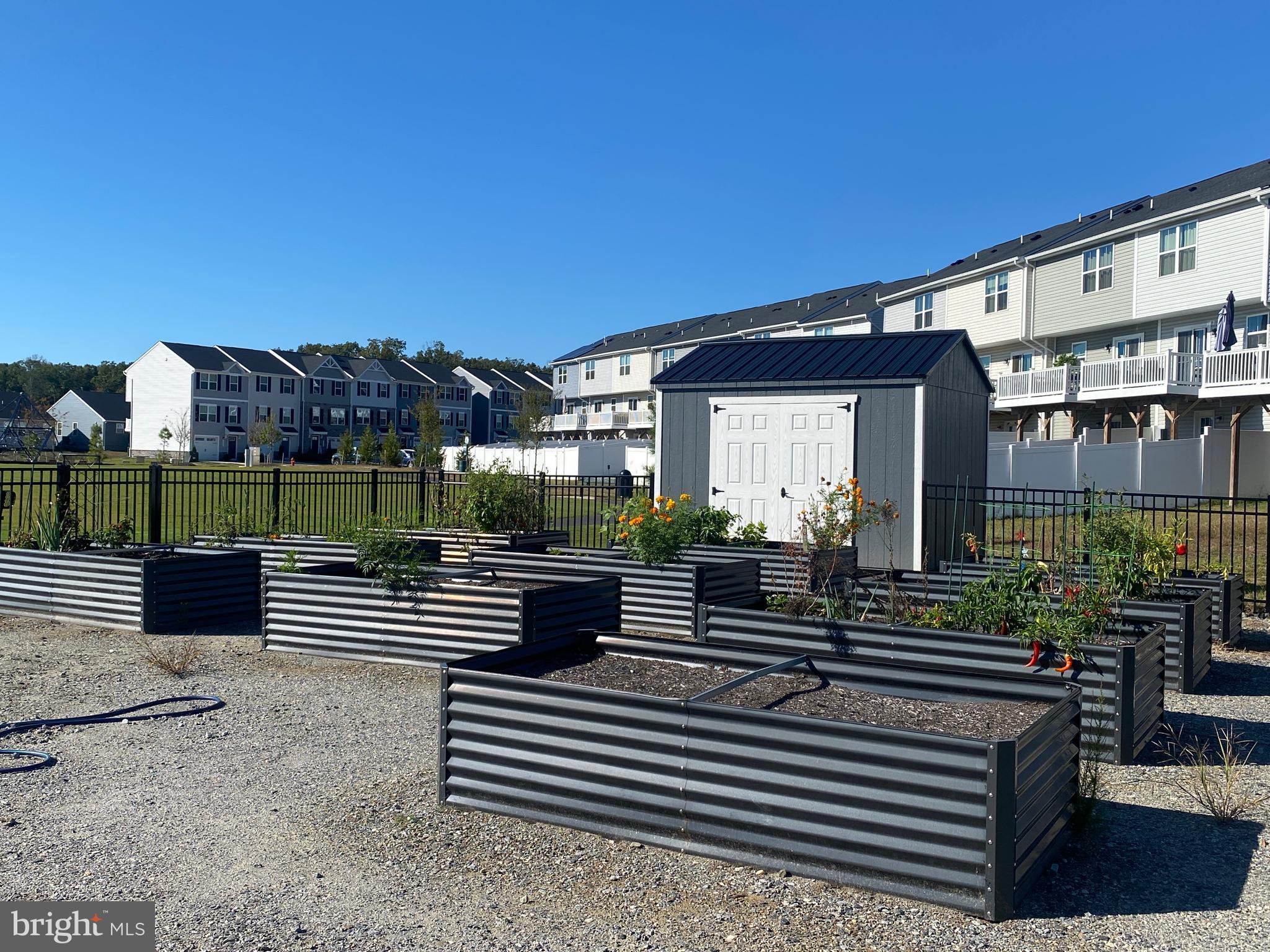 PENDLETON - Residential Lease