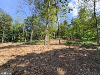 6258 PLANK ROAD