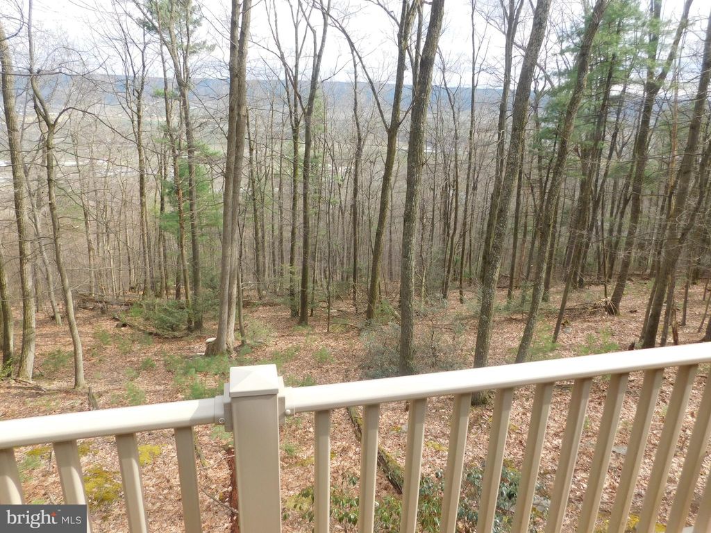 Photo of 200 Lower Stone Mountain Rd, BELLEVILLE, PA 17004 (MLS # PAMF2052942)