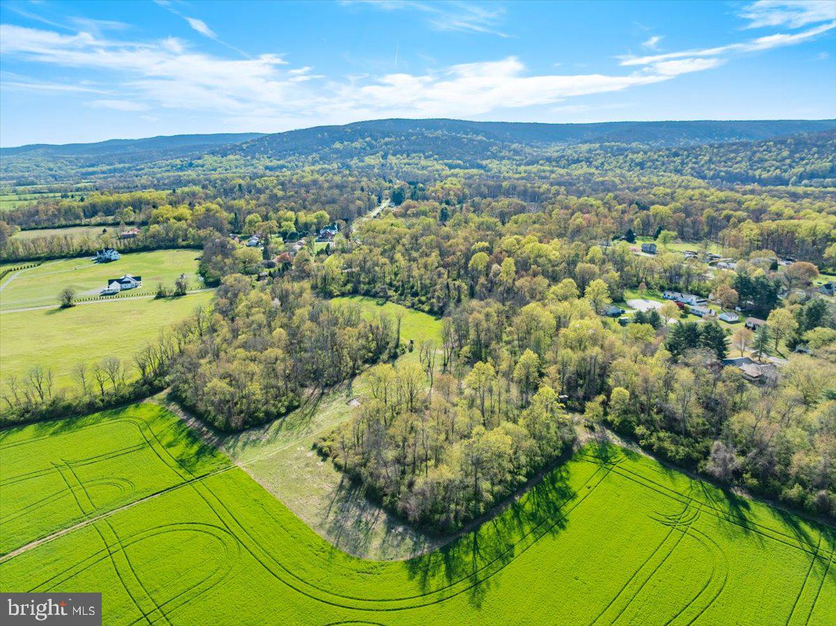 NONE AVAILABLE - Farm