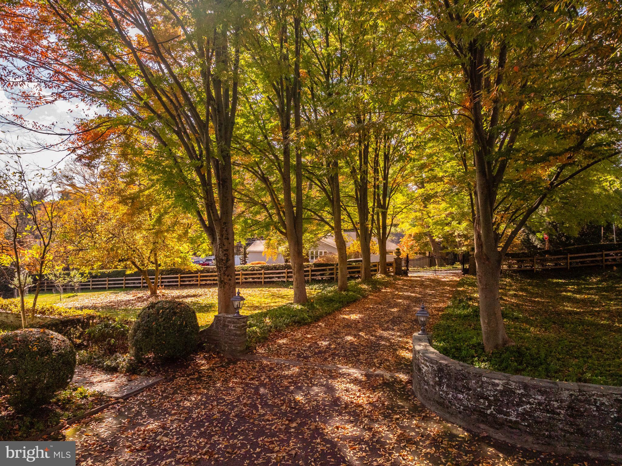 CHESTNUT HILL - Residential