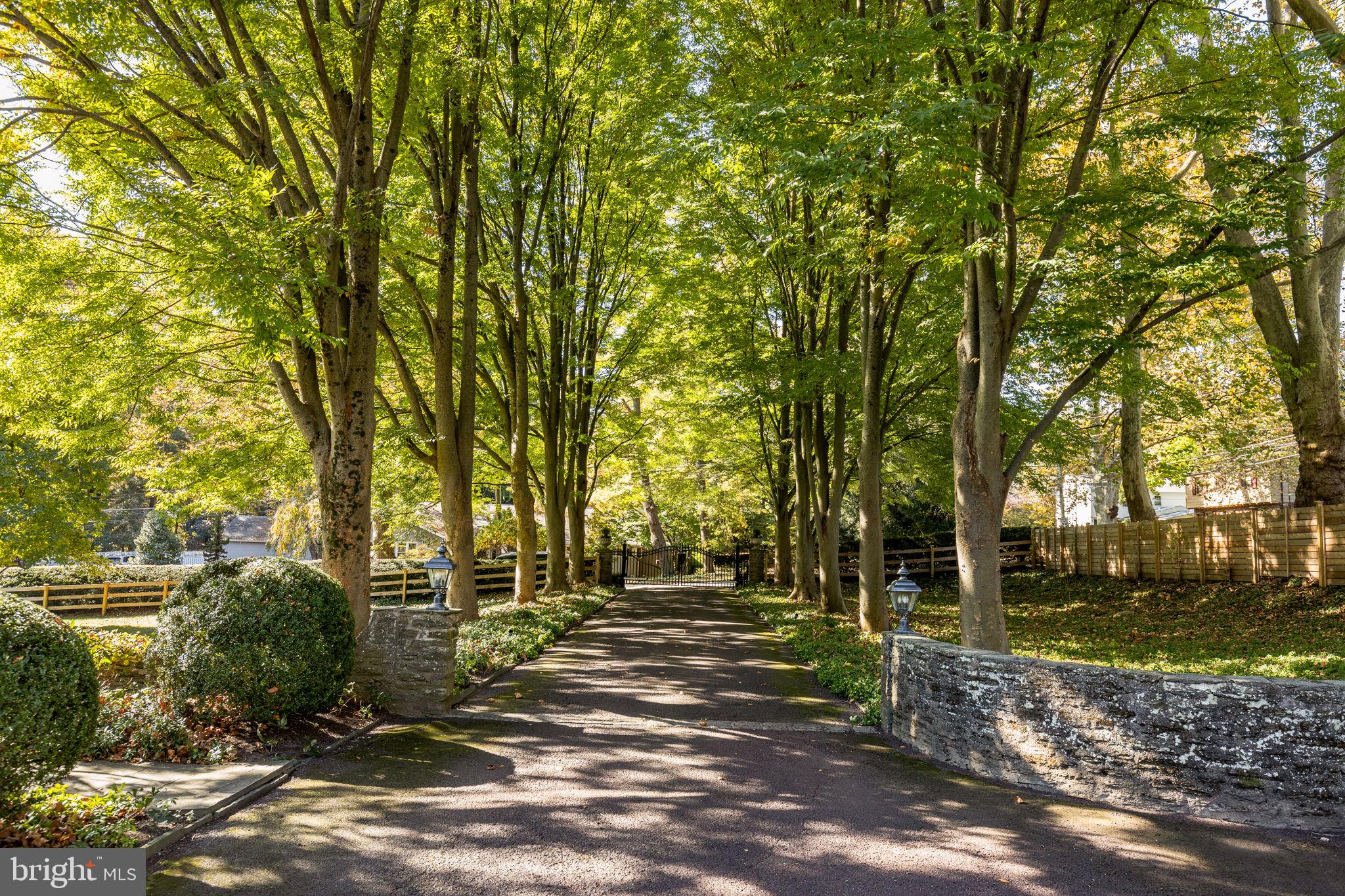 CHESTNUT HILL - Residential