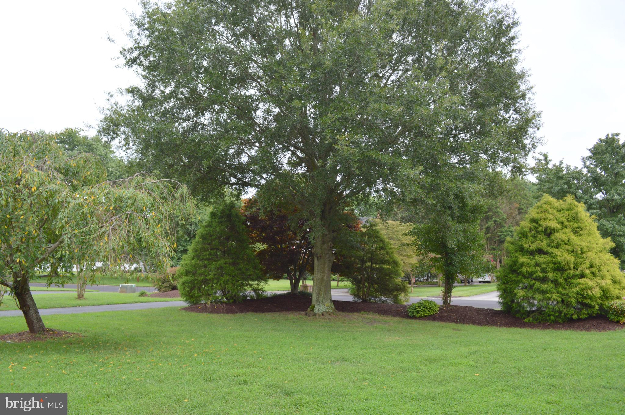 NITHSDALE - Residential