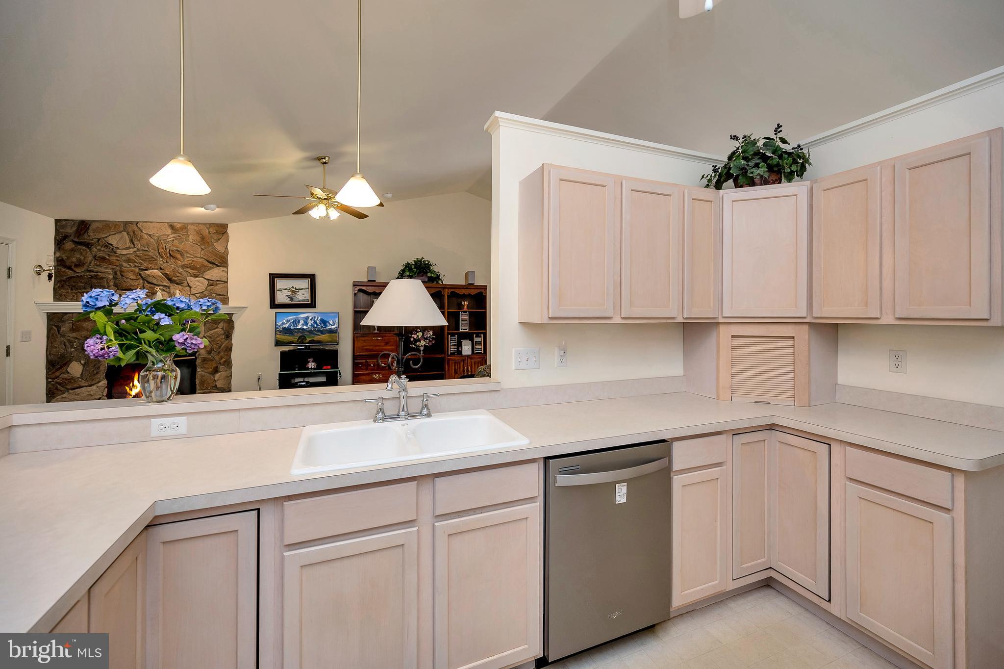 LAKE OF THE WOODS - Residential