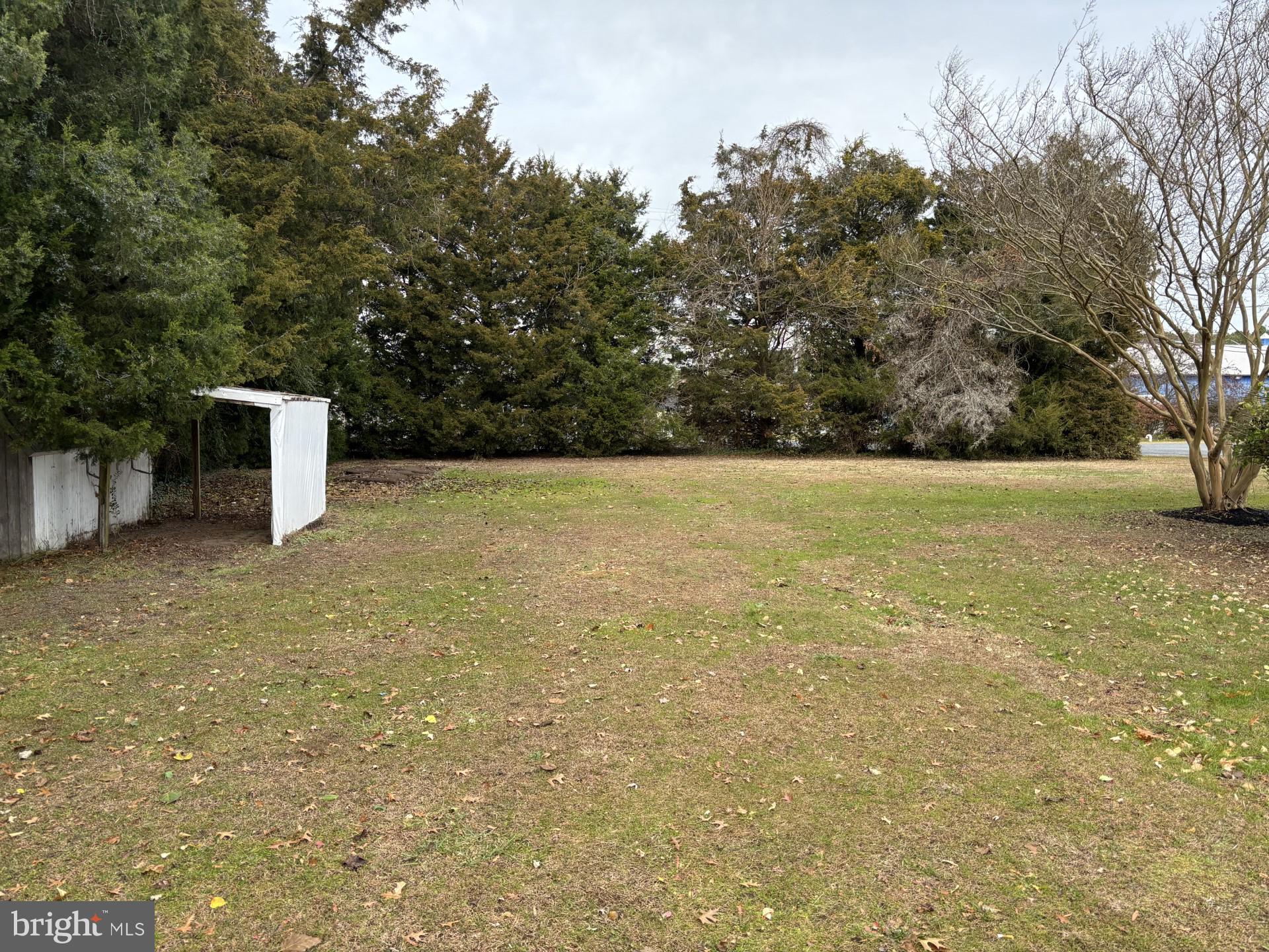 WINCHESTER ESTATES - Residential