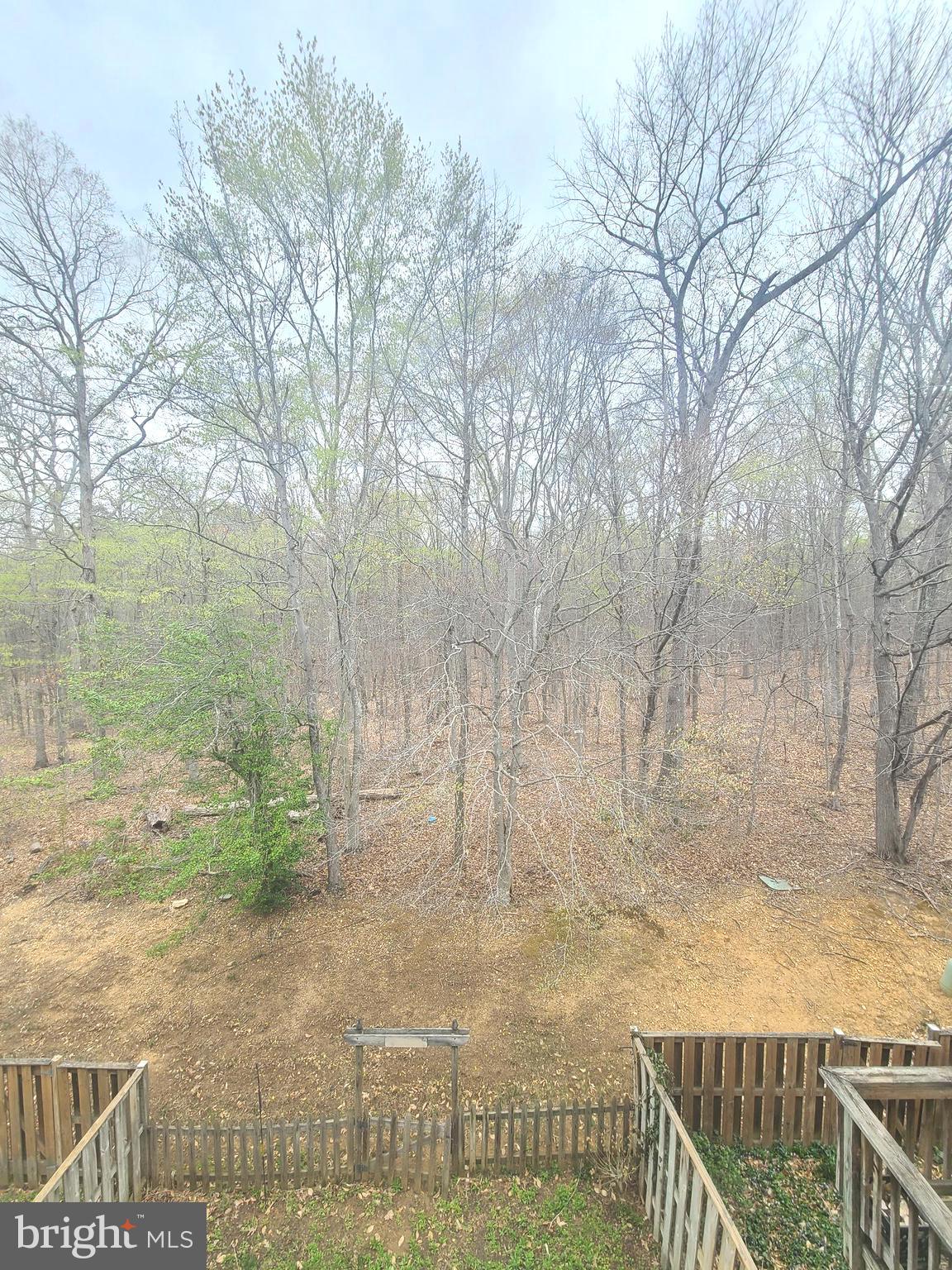 FOREST PARK - Residential