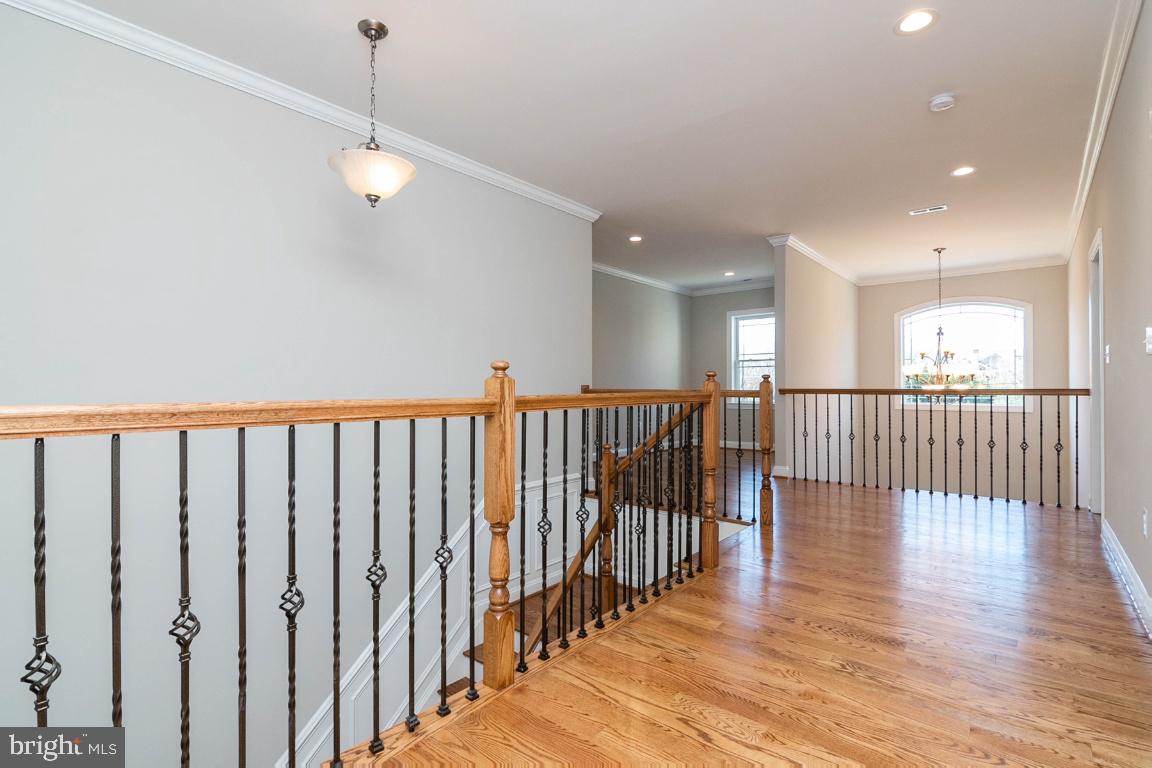 SPRINGFLD FOREST - Residential