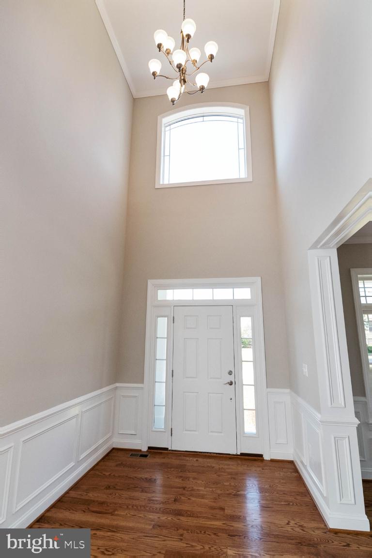 SPRINGFLD FOREST - Residential