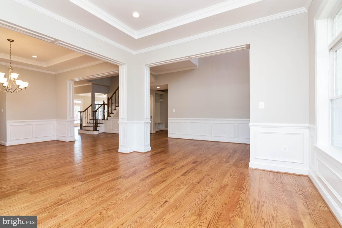 SPRINGFLD FOREST - Residential