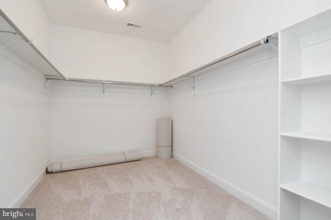 SPRINGFLD FOREST - Residential