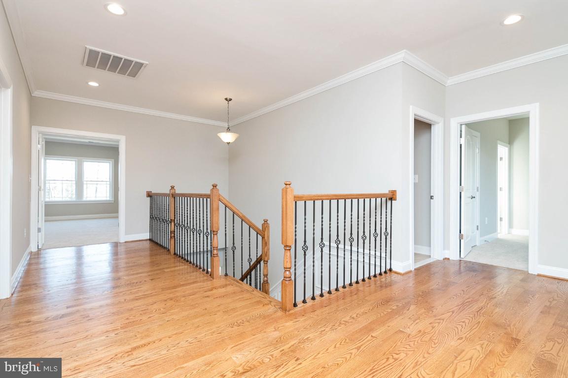 SPRINGFLD FOREST - Residential