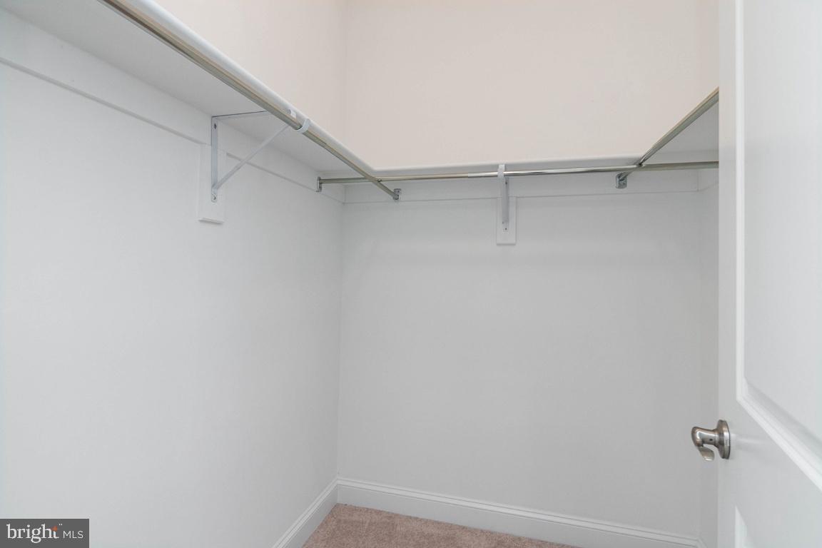 SPRINGFLD FOREST - Residential