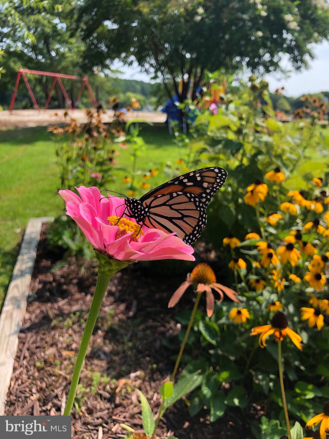 ASSATEAGUE PT RESORT - Residential