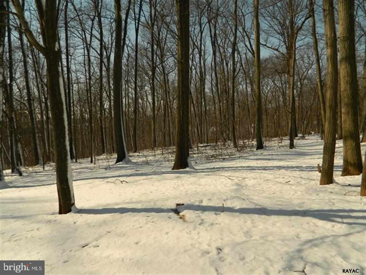 BROGUE - Residential