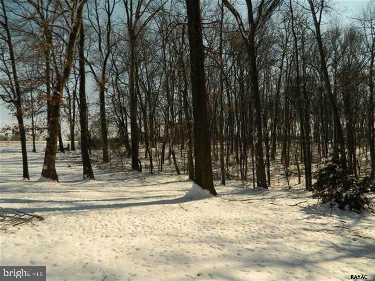 BROGUE - Residential