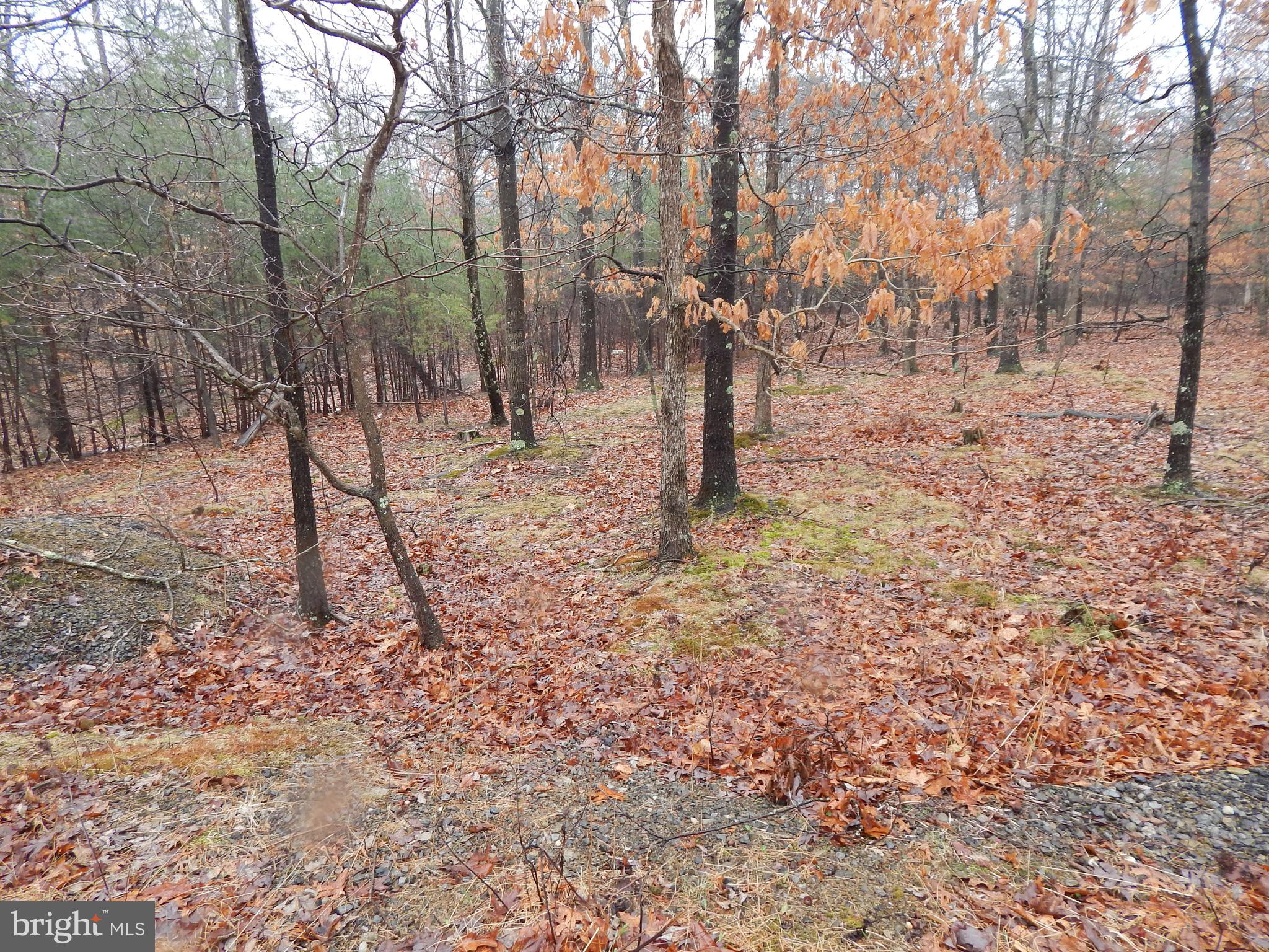 CACAPON SOUTH SECTION V - Land