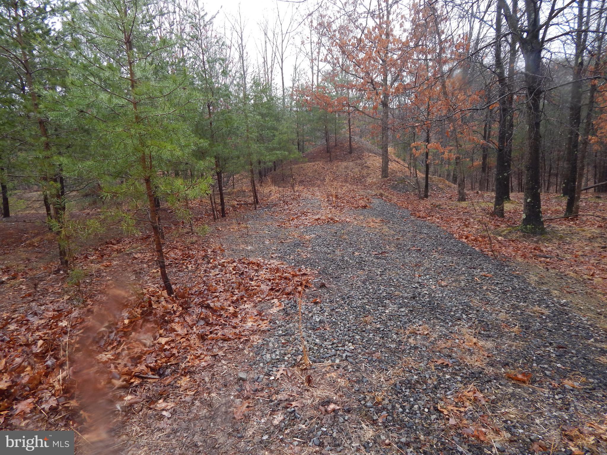 CACAPON SOUTH SECTION V - Land