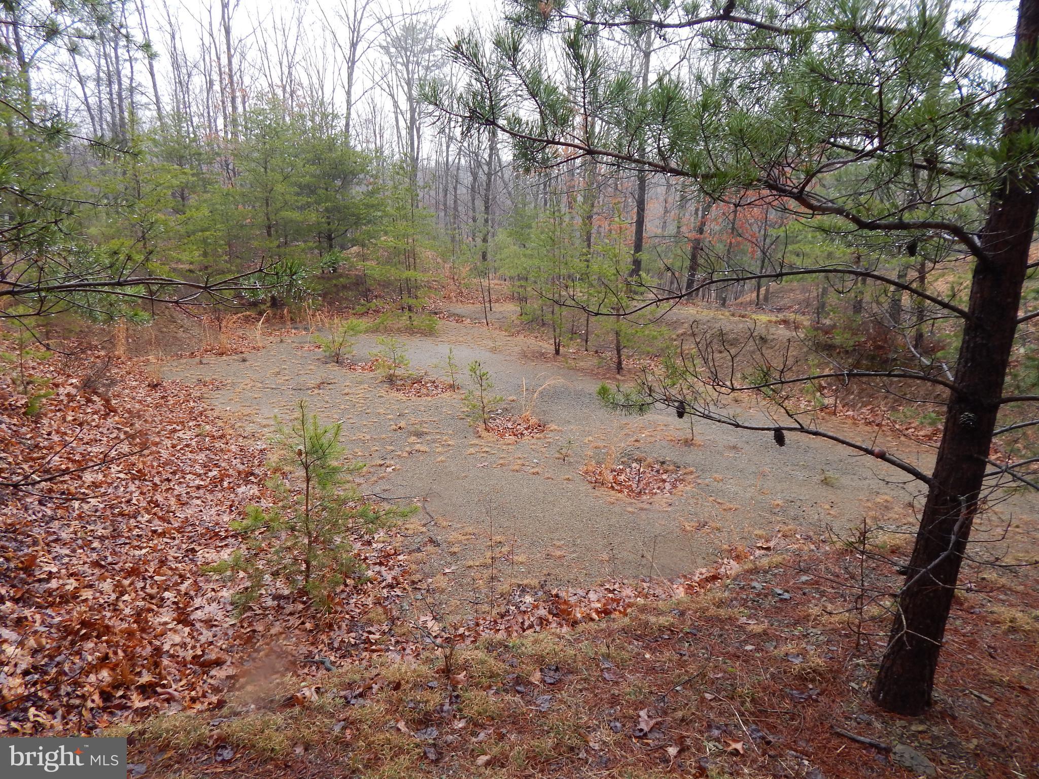 CACAPON SOUTH SECTION V - Land