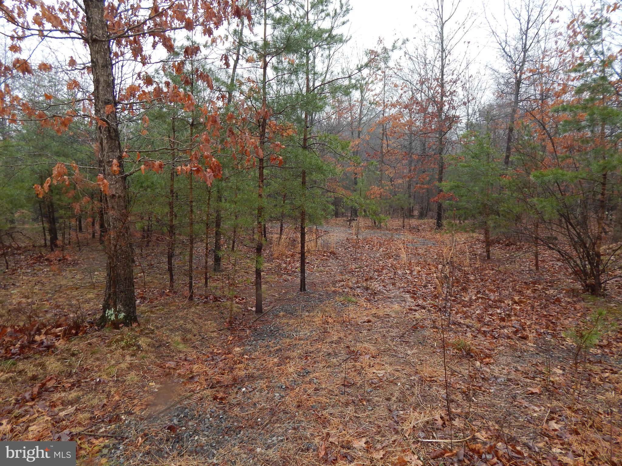 CACAPON SOUTH SECTION V - Land