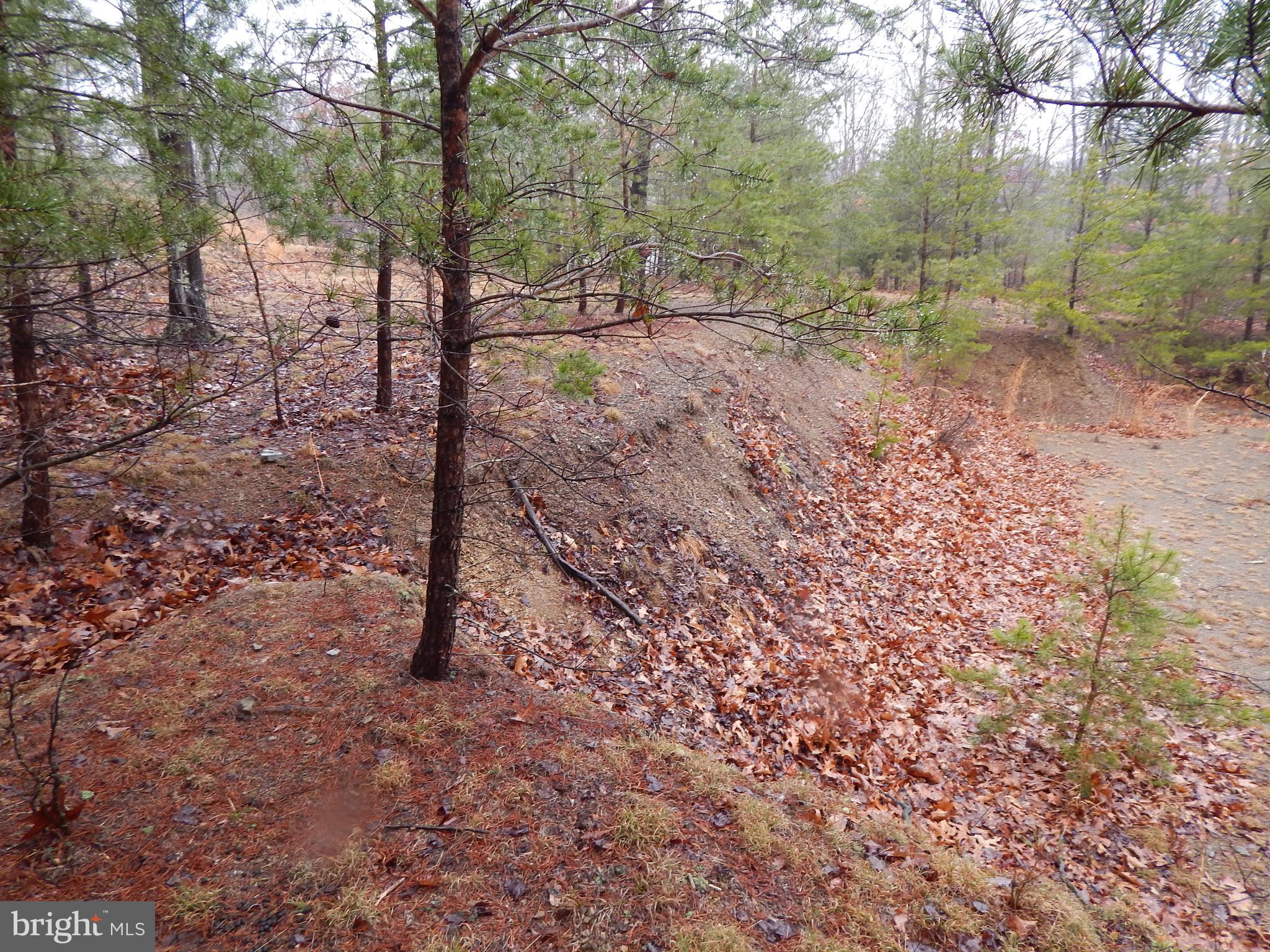 CACAPON SOUTH SECTION V - Land