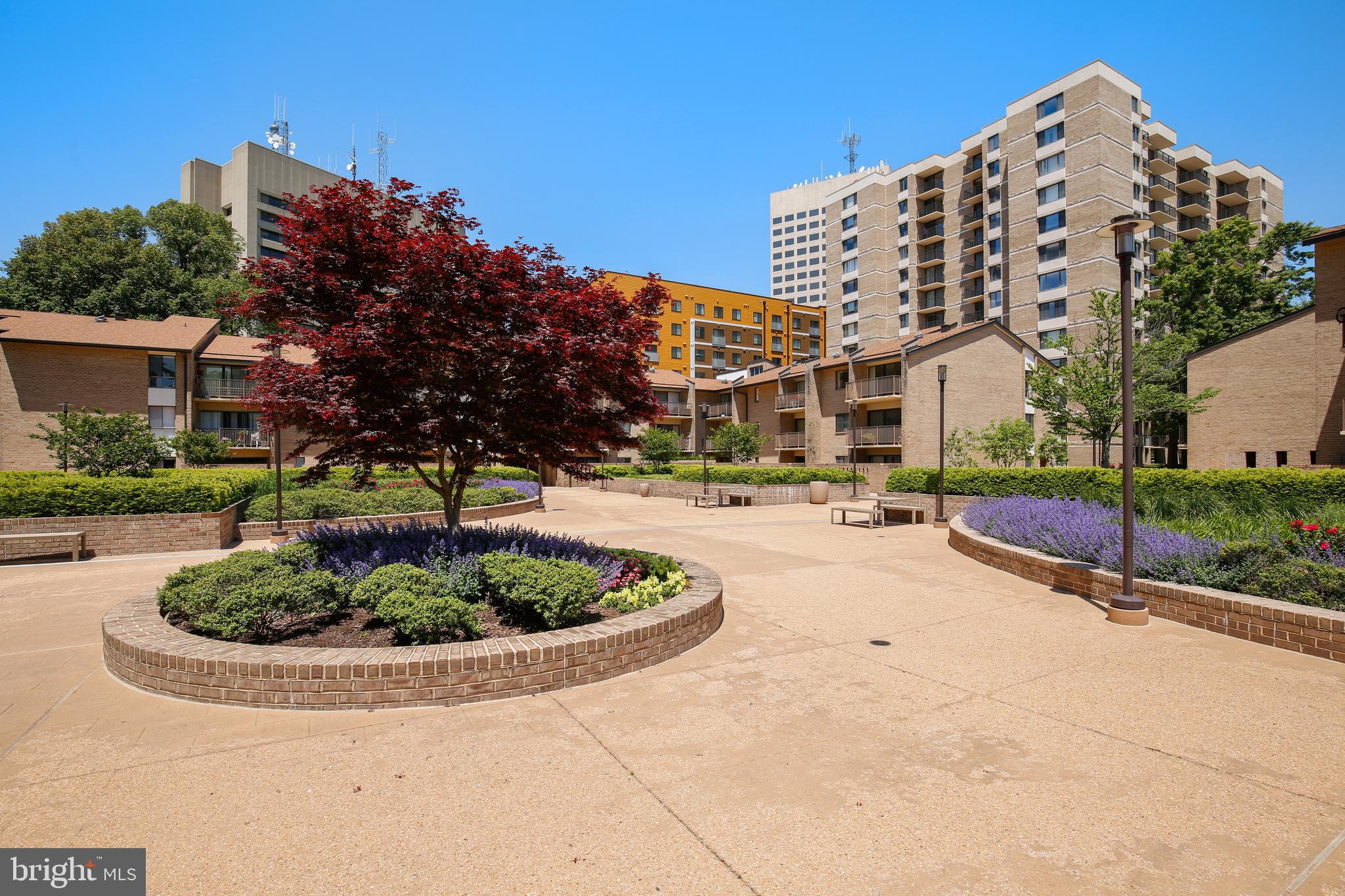 AMERICANA CENTRE - Residential