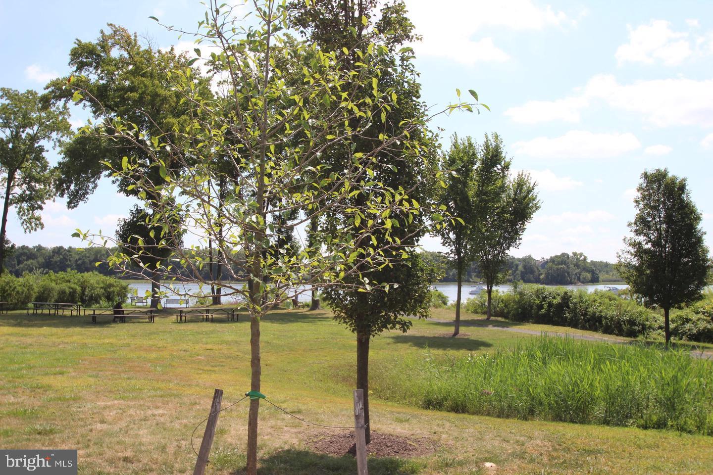 WATERSIDE - Residential Lease