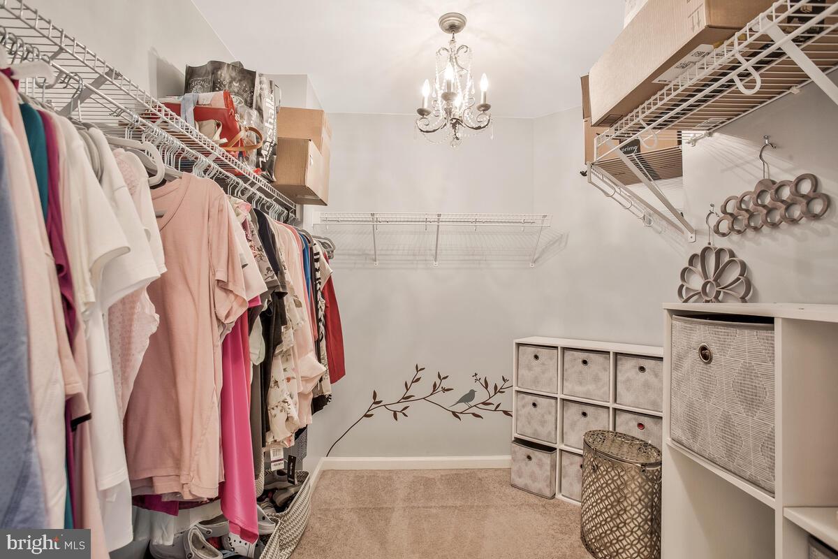 DAHLIA PARK OF WILDEWOOD - Residential