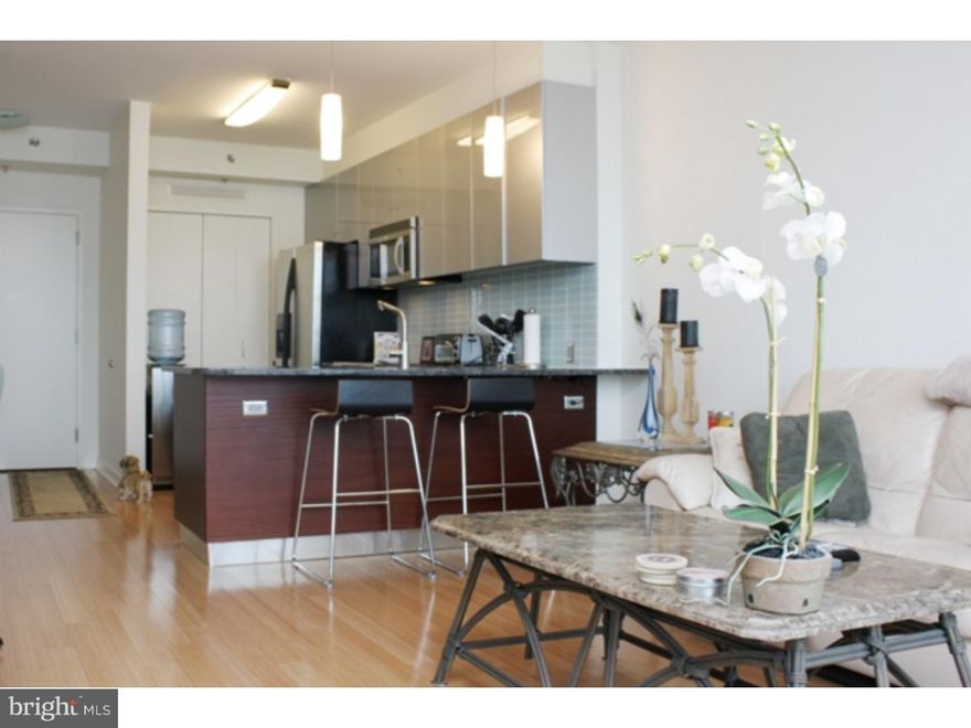 Enjoy sweeping views from this exceptional one bedroom, one bath residence with GARAGE PARKING. Perfectly situated at the MURANO, this residence is steps away from fine dining, one-of-a-kind shopping, 30th Street Station, the Schuylkill River Walking & Bike Path, and Rittenhouse Square.