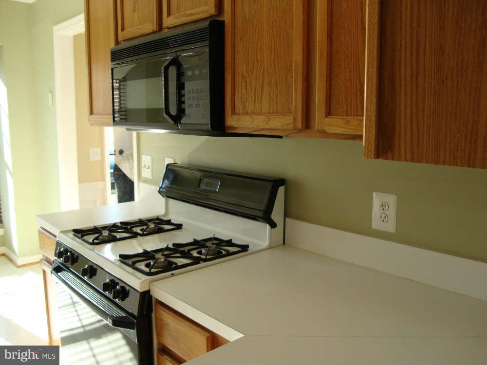 CHATHAM GREEN - Residential Lease