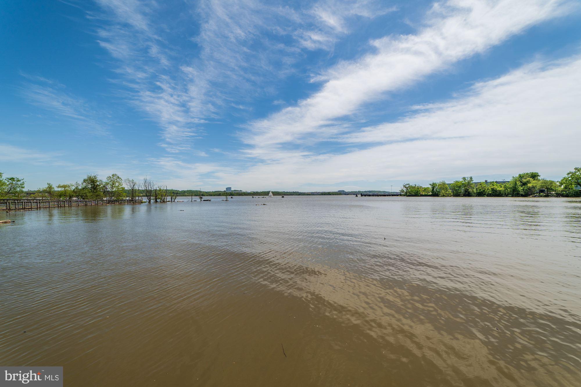 THE ORONOCO - Residential