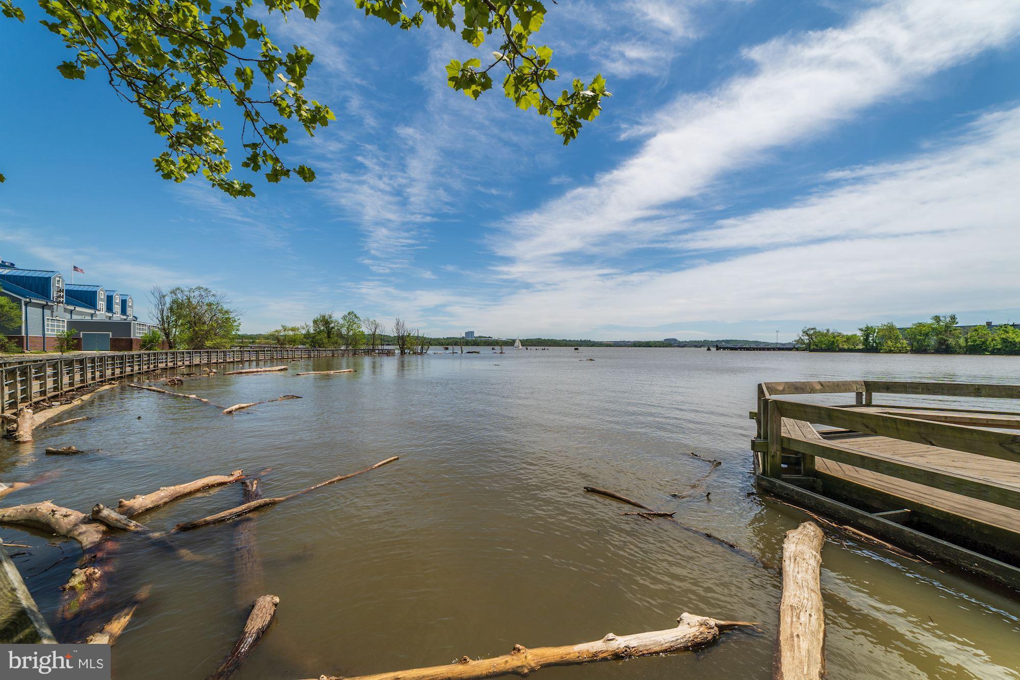 THE ORONOCO - Residential