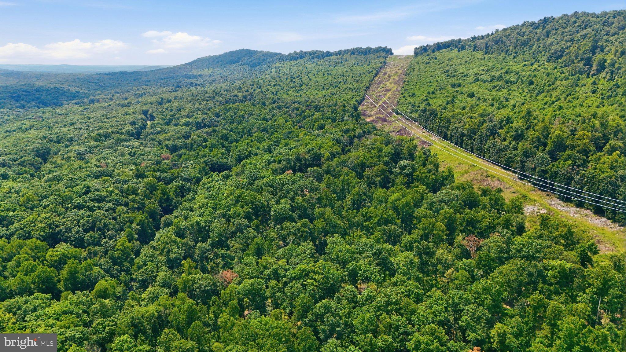 14.29AC WHISPERING PINES ROAD