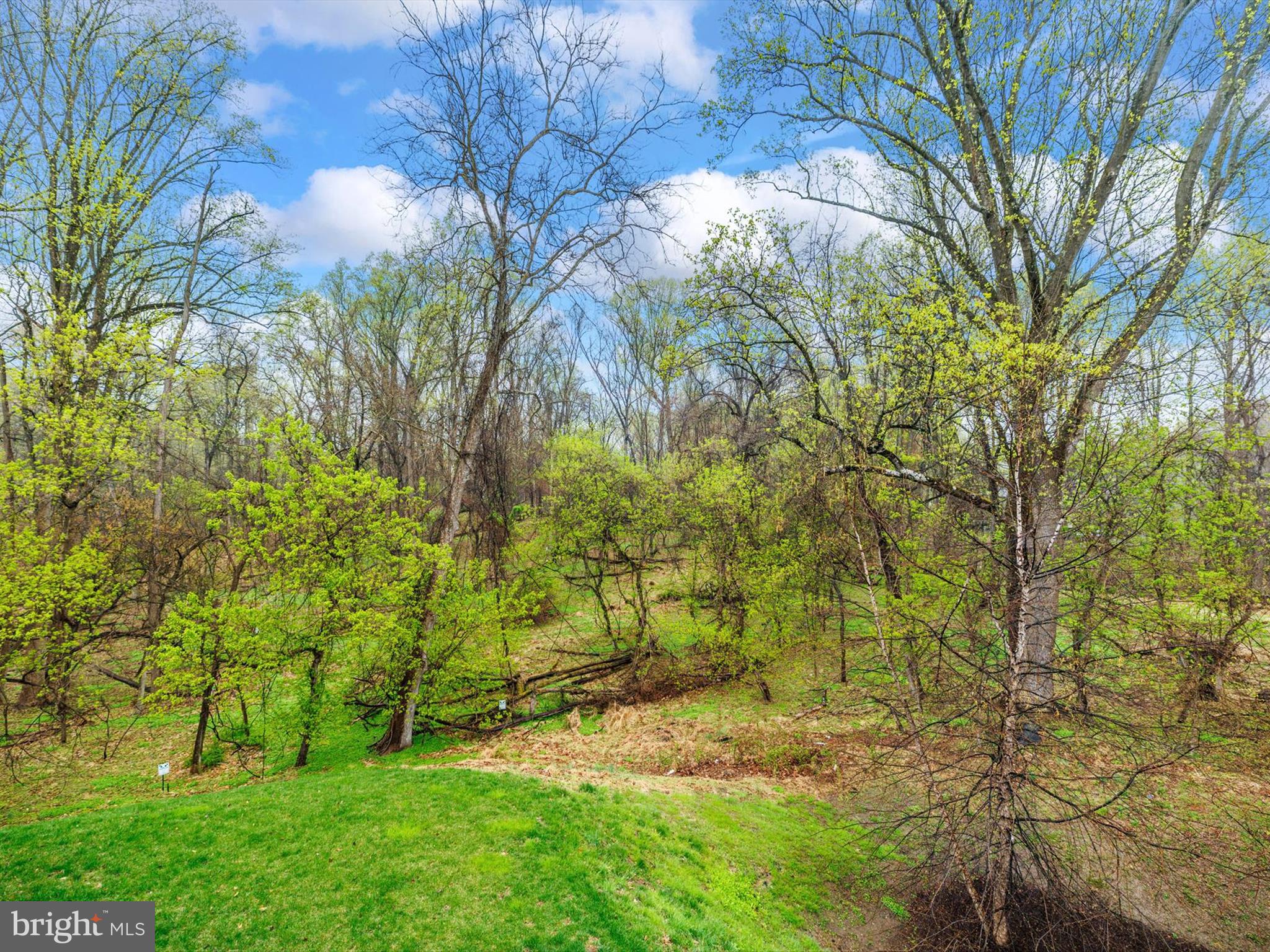 THE GREENS AT LOCUST CHAPEL - Residential