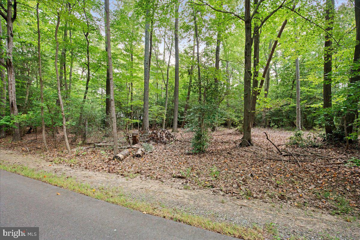 PARK CHESAPEAKE - Land