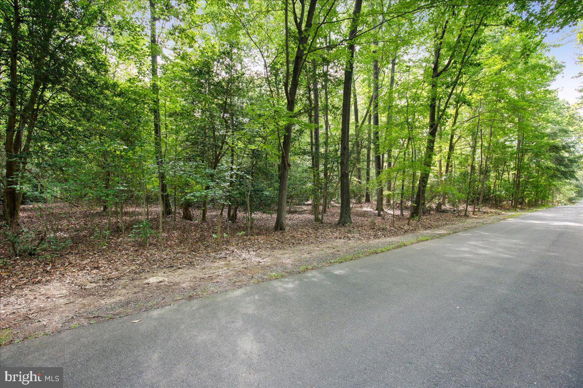 PARK CHESAPEAKE - Land