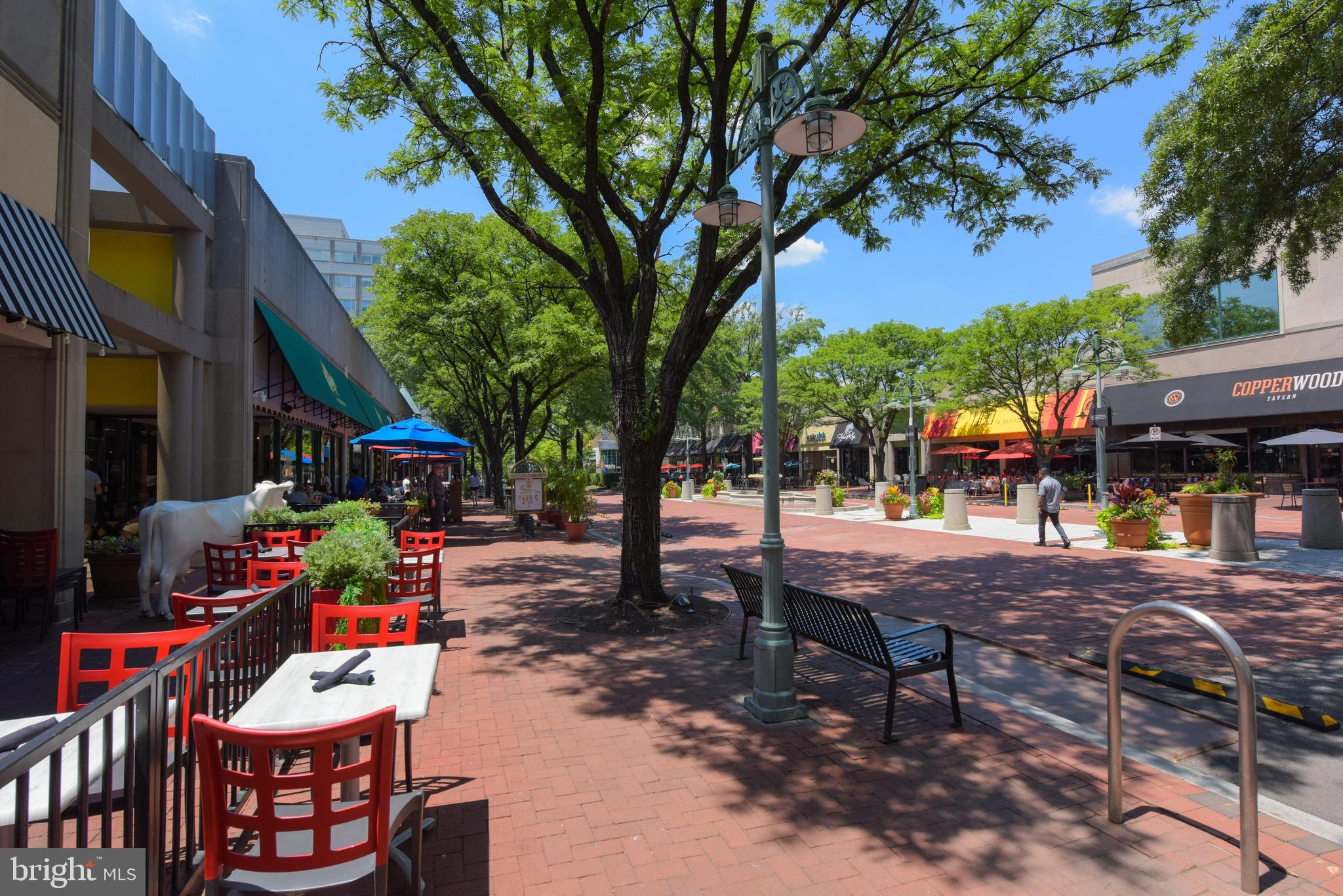 DOUGLAS PARK - Residential Lease