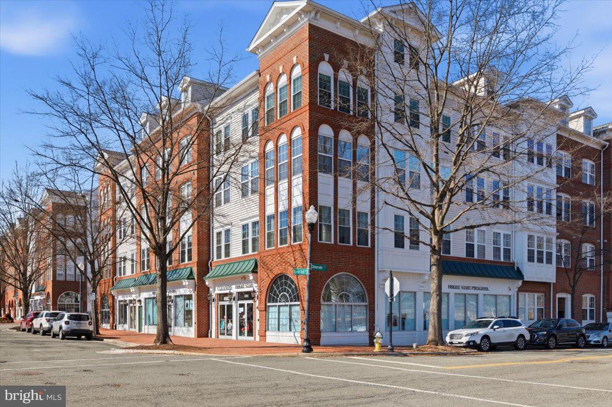 171 SOMERVELLE STREET 209