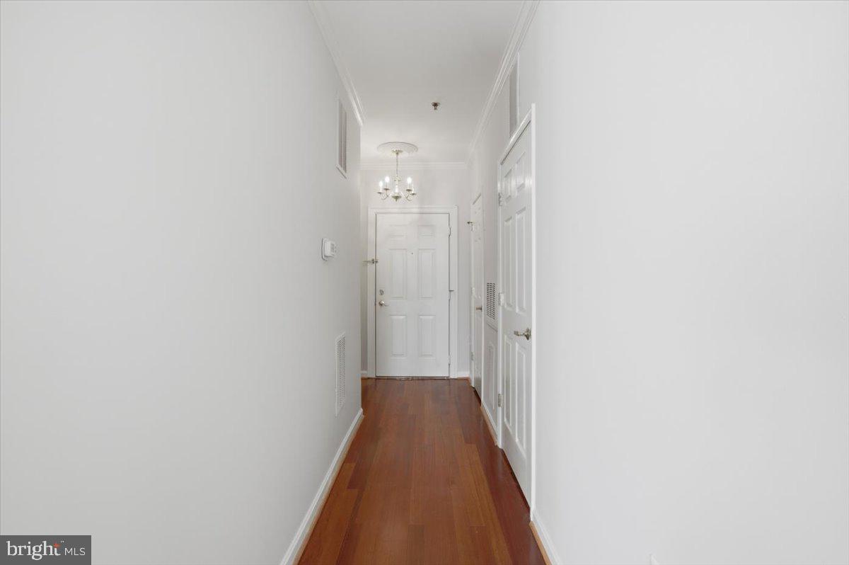 171 SOMERVELLE STREET 209