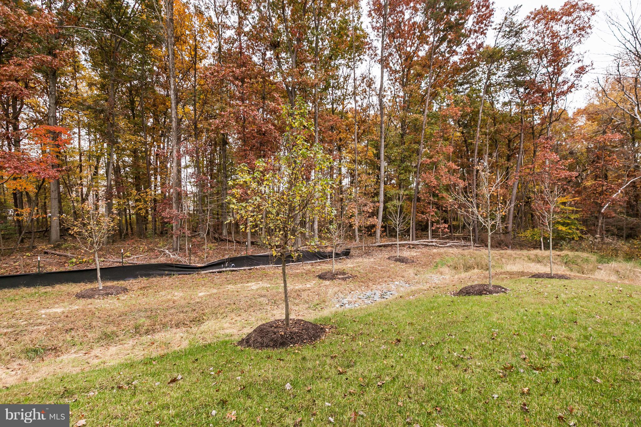 PARKSIDE - Residential