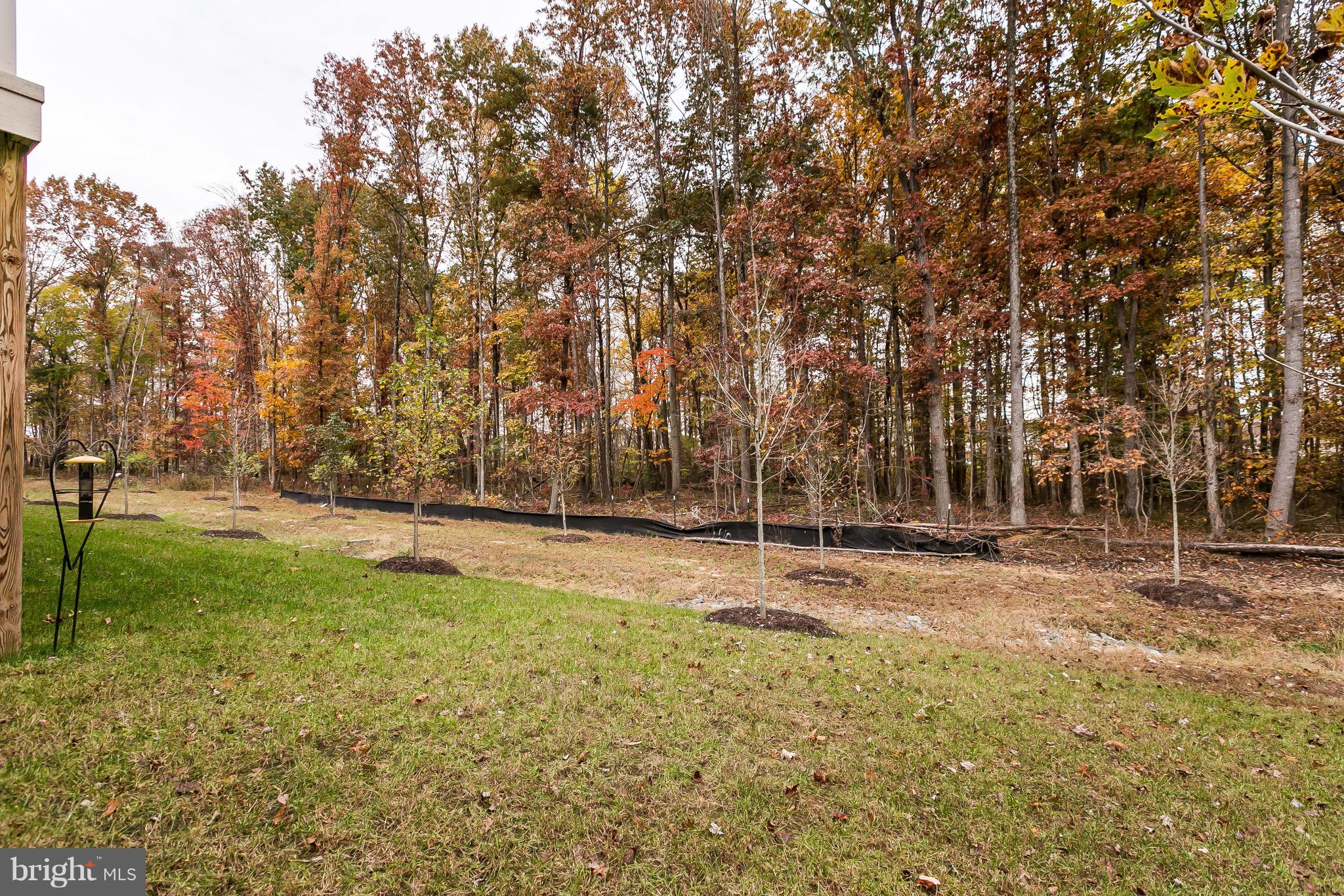 PARKSIDE - Residential